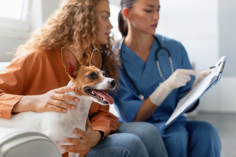 Attentive veterinarian taking clinical notes while a pet owner holds their dog during exam